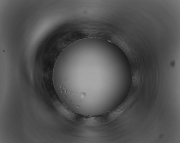 X0000096640430200802121114