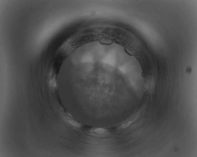 X0000096640431200802121114