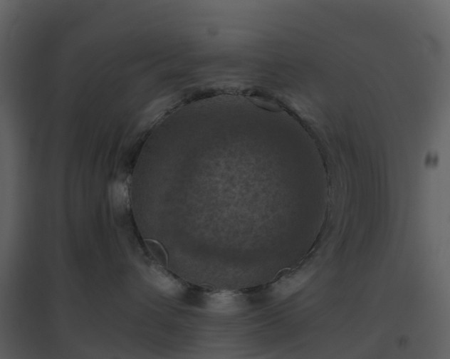X0000096640432200802121114