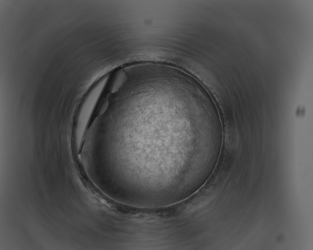 X0000096640434200802121114