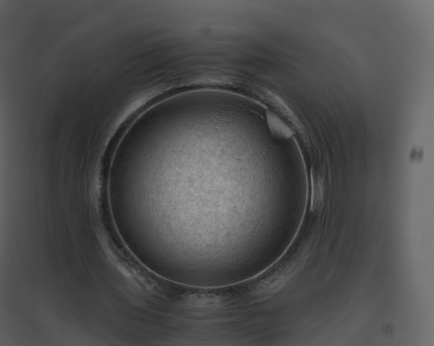X0000096640435200802121114