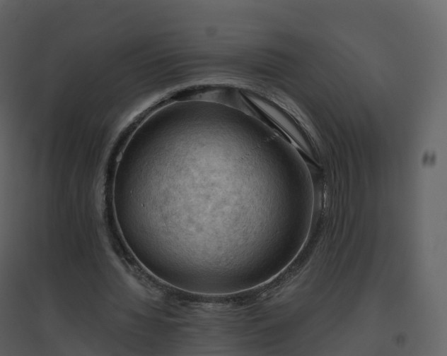 X0000096640436200802121114