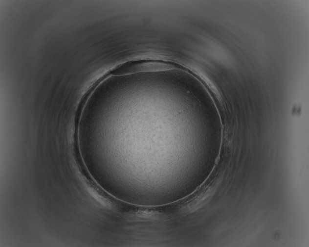 X0000096640437200802121114