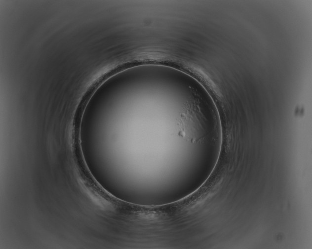 X0000096640439200802121114