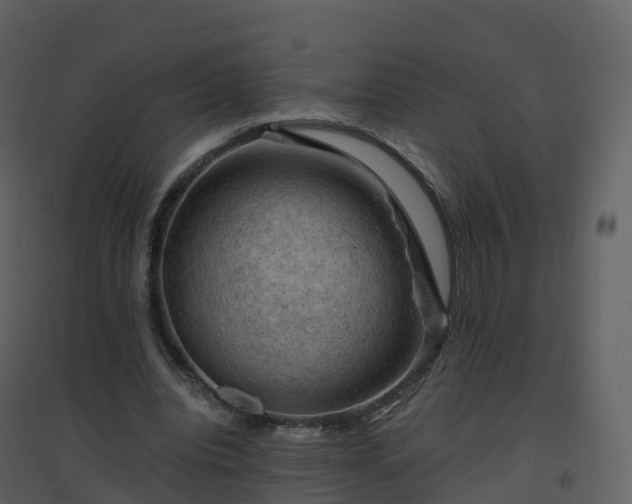 X0000096640440200802121114