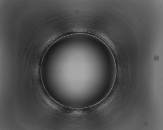 X0000096640441200802121114