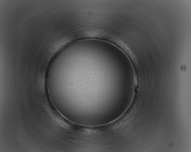 X0000096640442200802121114