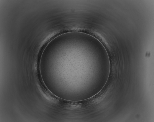 X0000096640443200802121114