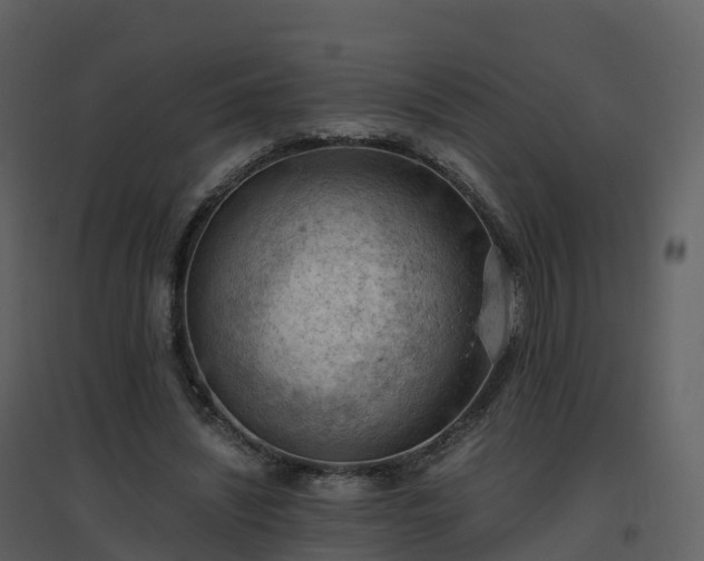 X0000096640444200802121114