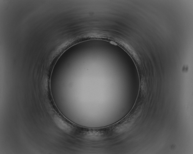 X0000096640445200802121114