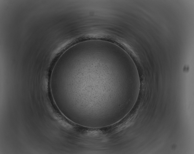X0000096640446200802121114
