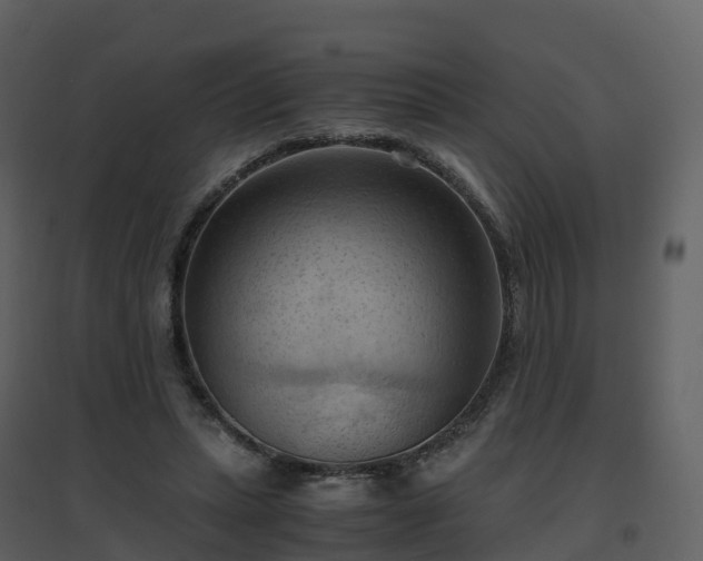X0000096640447200802121114
