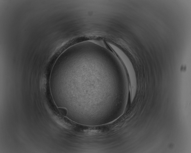 X0000096640448200802121114