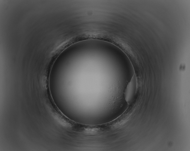 X0000096640450200802121114