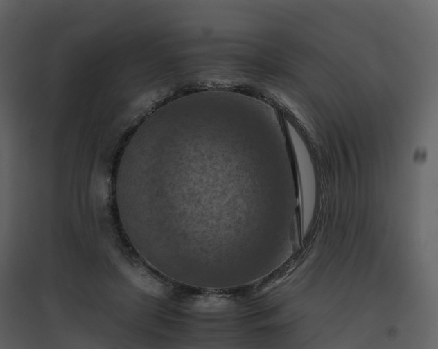 X0000096640451200802121114