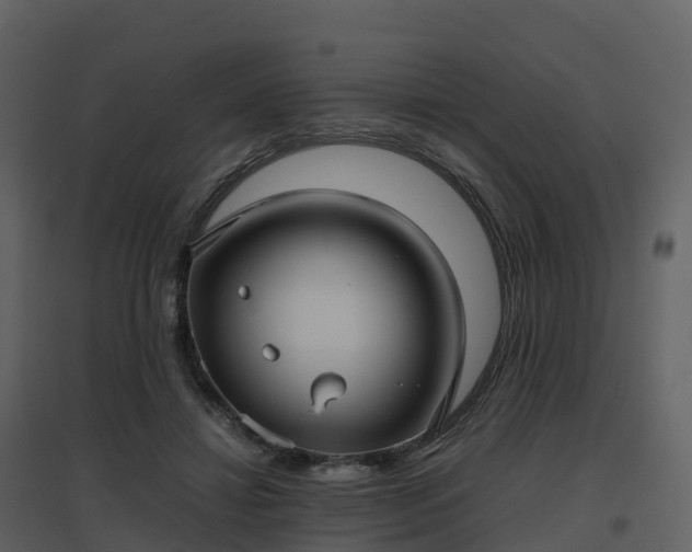 X0000096640452200802121114