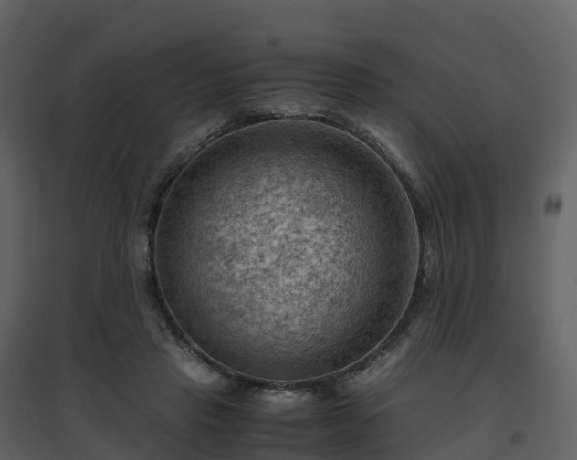 X0000096640453200802121114