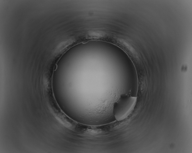 X0000096640455200802121114
