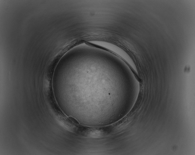 X0000096640456200802121114