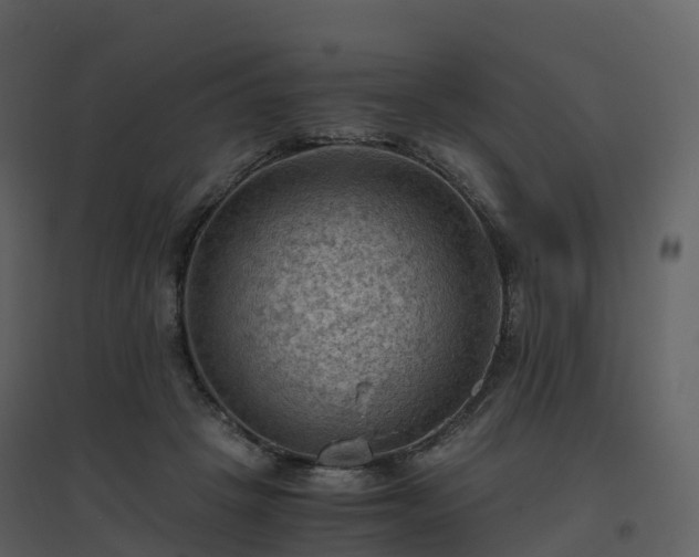 X0000096640457200802121114