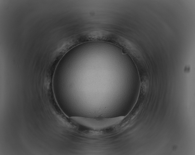 X0000096640458200802121114