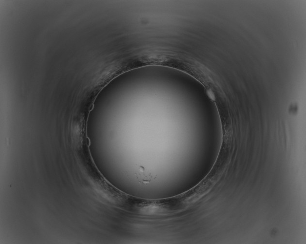 X0000096640460200802121114