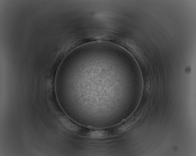 X0000096640461200802121114