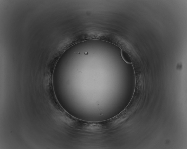 X0000096640463200802121114