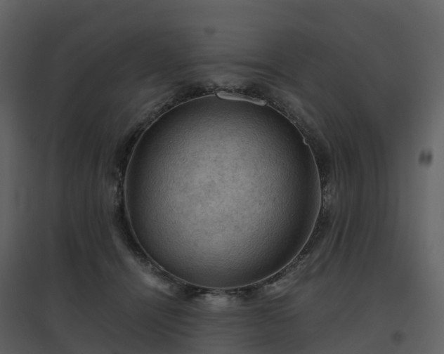 X0000096640464200802121114