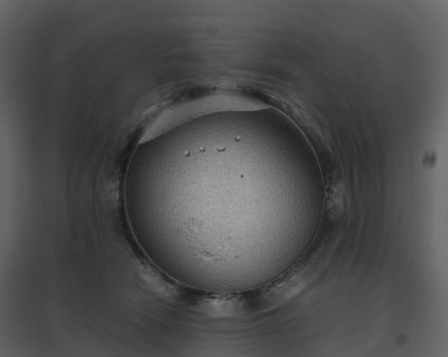 X0000096640466200802121114