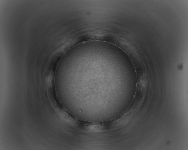 X0000096640468200802121114