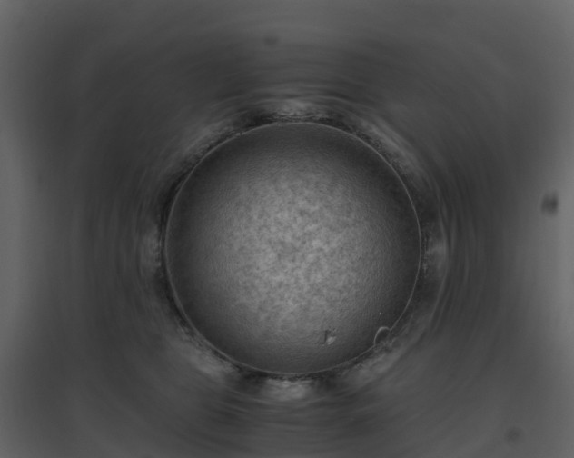 X0000096640469200802121114