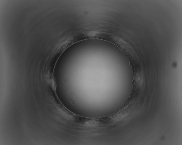 X0000096640470200802121114
