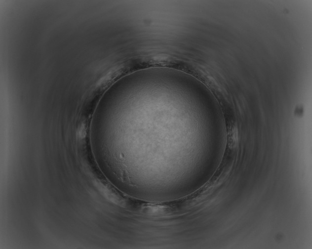 X0000096640472200802121114