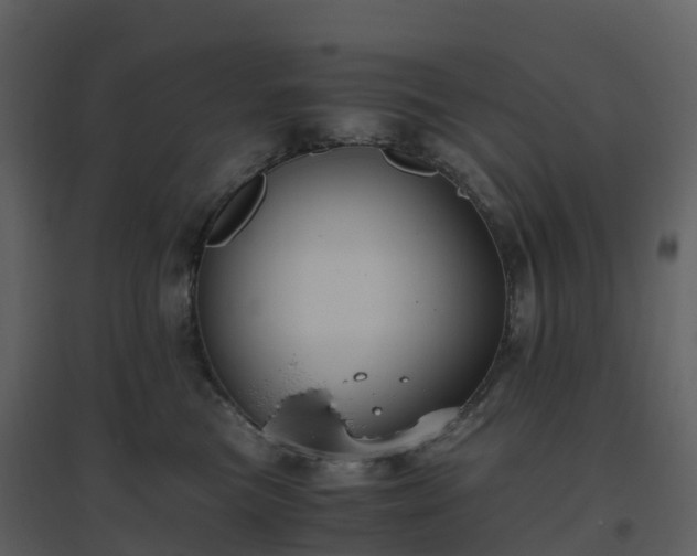 X0000096640473200802121114