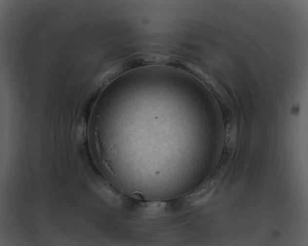 X0000096640474200802121114