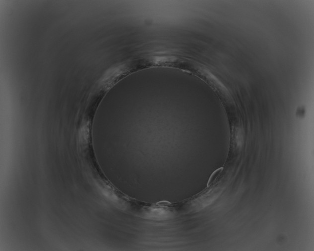 X0000096640475200802121114