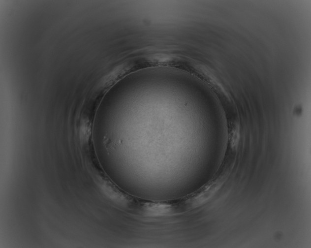 X0000096640476200802121114