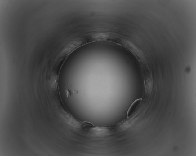 X0000096640477200802121114