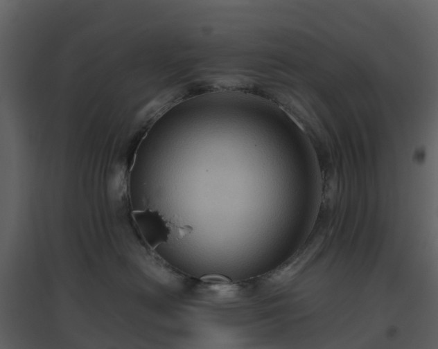 X0000096640478200802121114
