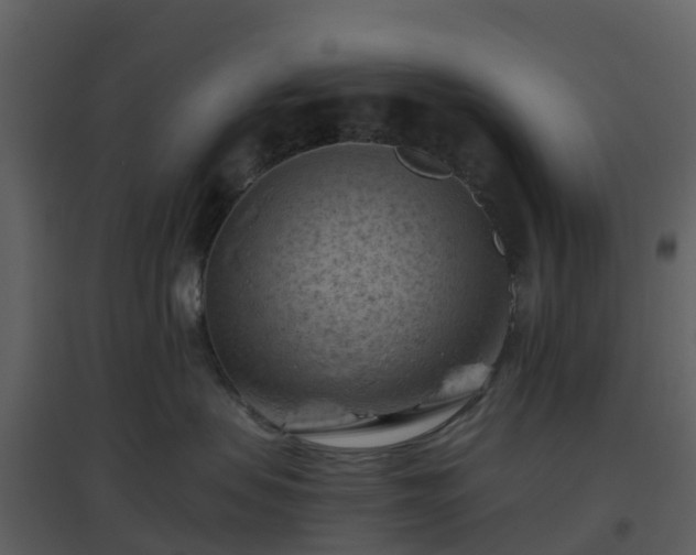 X0000096640479200802121114