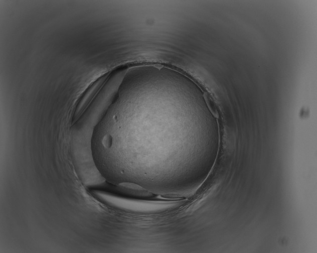 X0000096640481200802121113