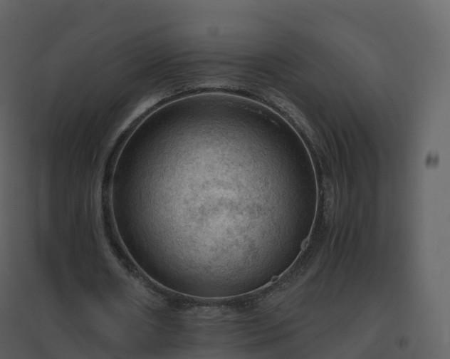 X0000096640482200802121113
