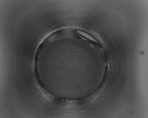 X0000096640484200802121113