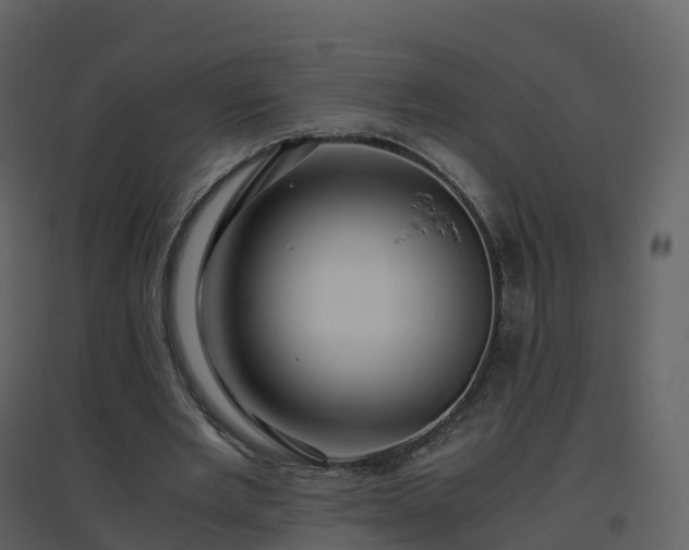 X0000096640485200802121113