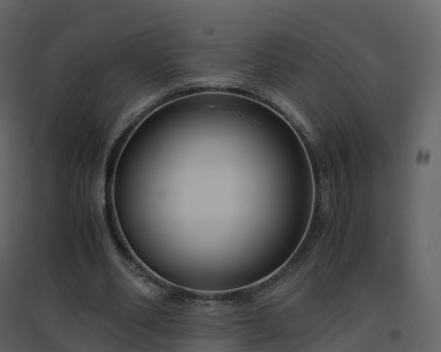 X0000096640486200802121113