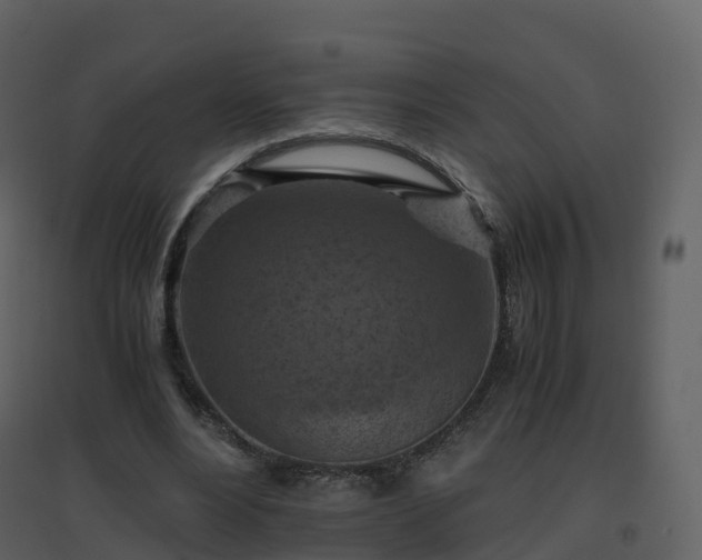 X0000096640488200802121113