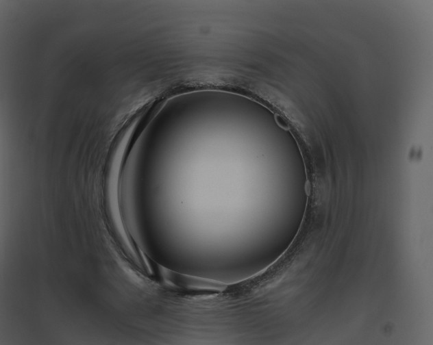X0000096640489200802121113