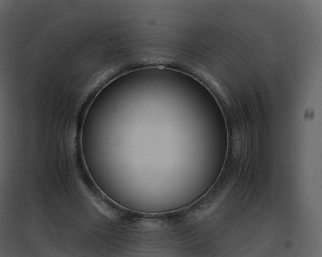 X0000096640490200802121113