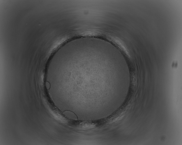 X0000096640491200802121113